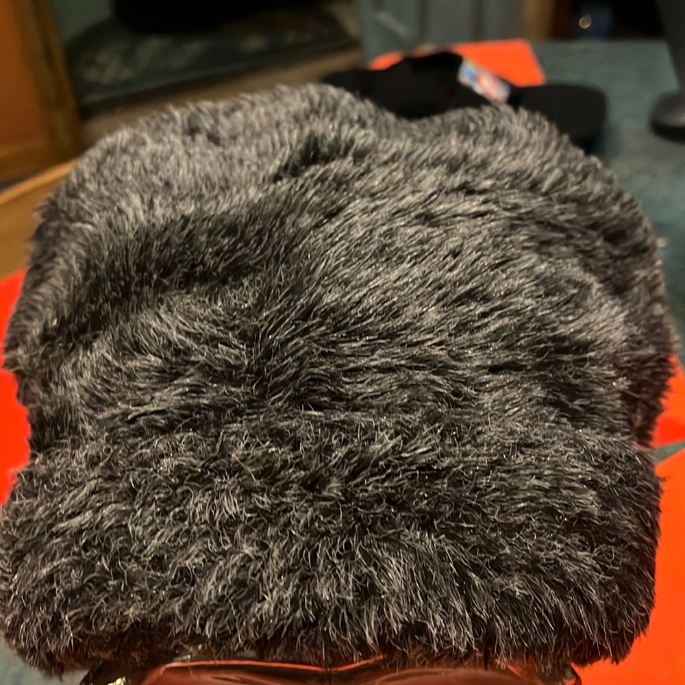 Gray Cap Winter